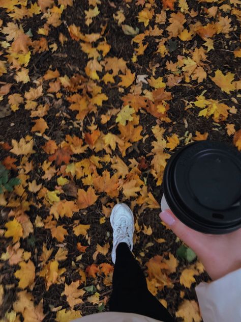 Workout Fall Aesthetic, Fall Health Aesthetic, Running Fall Aesthetic, Autumn Walks Aesthetic, Fall Walks Aesthetic, Fall Running Aesthetic, Fall Walk Aesthetic, September Vision Board Aesthetic, Autumn Walk Aesthetic