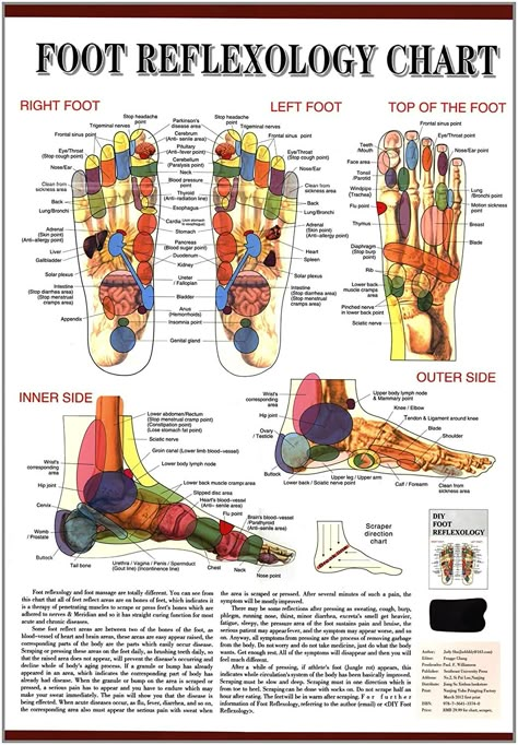 Foot Reflexology Chart, Acupuncture Points Chart, Ear Reflexology, Reflexology Points, Reflexology Foot Chart, Foot Reflexology Massage, How To Stop Coughing, Massage Therapy Business, Therapy Business