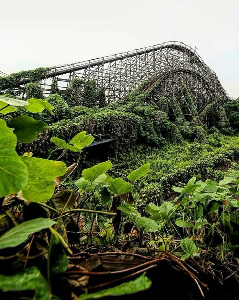 Nature Reclaiming, Reclaimed By Nature, Apocalypse Aesthetic, Urban Exploring, Abandoned Amusement Parks, Siargao, Abandoned Things, Parc D'attraction, Fukushima