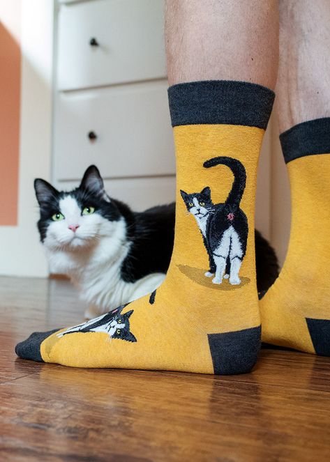 @iUncomplicate (iUncomplicate Media) - Cat Lovers - Benable Solmate Socks, Funny Socks For Men, Cat Loaf, Food Socks, Bamboo Gifts, Socks Design, Socks Funny, Cat Shoes, Tuxedo Cats