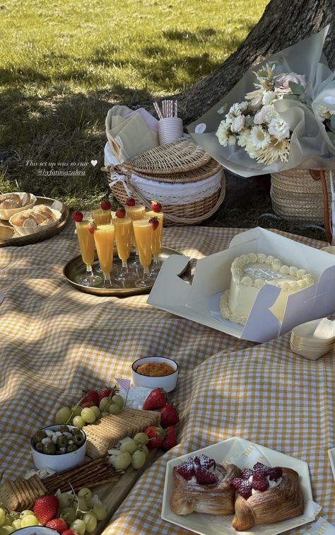 Birthday Picnic In The Park Ideas, Aesthetic Pictures Picnic, 20 Birthday Picnic, Birthday Picknick Idea, Girl Date Aesthetic, Picnic Birthday Aesthetic, Picnic Decorations Ideas Simple, Home Picnic Ideas, Cute Picnic Setup