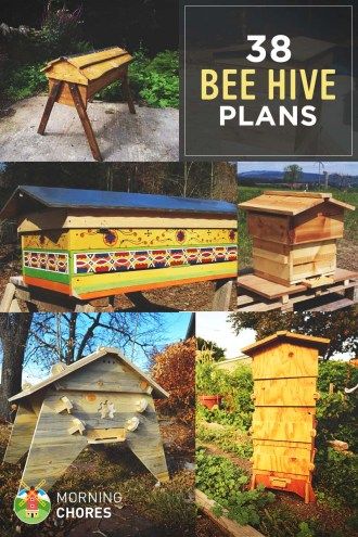 Do you want to be a beekeeper and looking for ideas or plans for langstroth, top-bar, or warre beehives? Here are 36 fee DIY bee hive plans for you. Beehive Plans, Diy Bee Hive, Honey House, Diy Bee, Bee Hive Plans, Backyard Bee, Raising Bees, Beekeeping For Beginners, Backyard Beekeeping