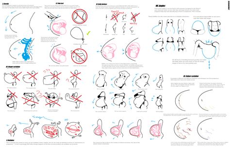 Pregnancy Drawing, Body Type Drawing, Belly Art, Female Anatomy Reference, Pregnancy Art, Body Drawing Tutorial, Art Help, Tutorials Drawing, Arte Sketchbook