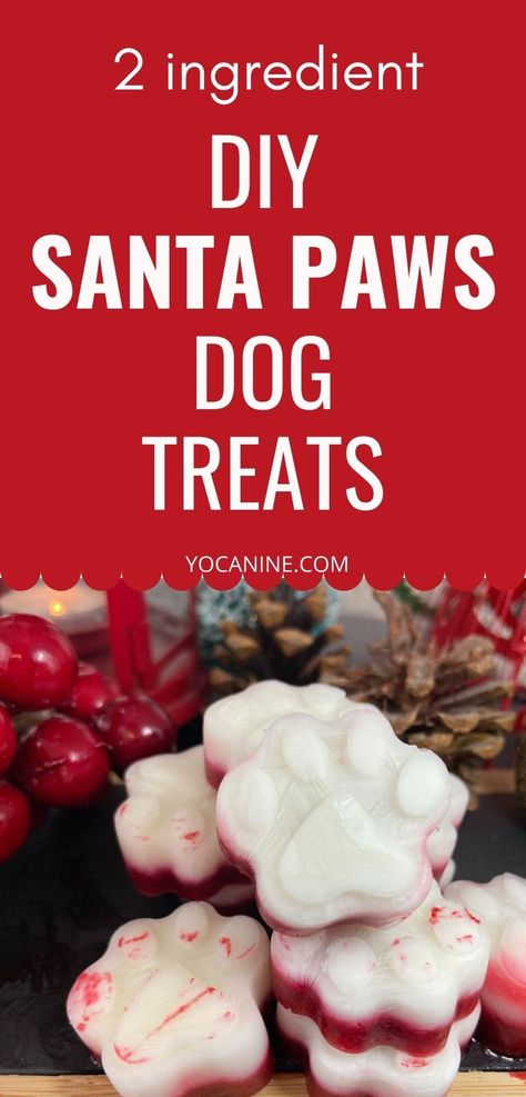 These dog treat recipes Christmas are perfect dog treats homemade frozen for the holiday season. No bake dog treats, dog treats christmas gifts, dog treat recipes frozen, diy dog treats easy, dog treat recipes for silicone molds #dogchristmas #frozendogtreats #dogtreatrecipes #dogmom #yocanine Dog Christmas Crafts, Christmas Dog Treats Homemade, Diy Dog Treats Easy, Homemade Christmas Dog Treats, Holiday Dog Treats, No Bake Dog Treats, Frozen Diy, Snack To Make, Christmas Dog Treats