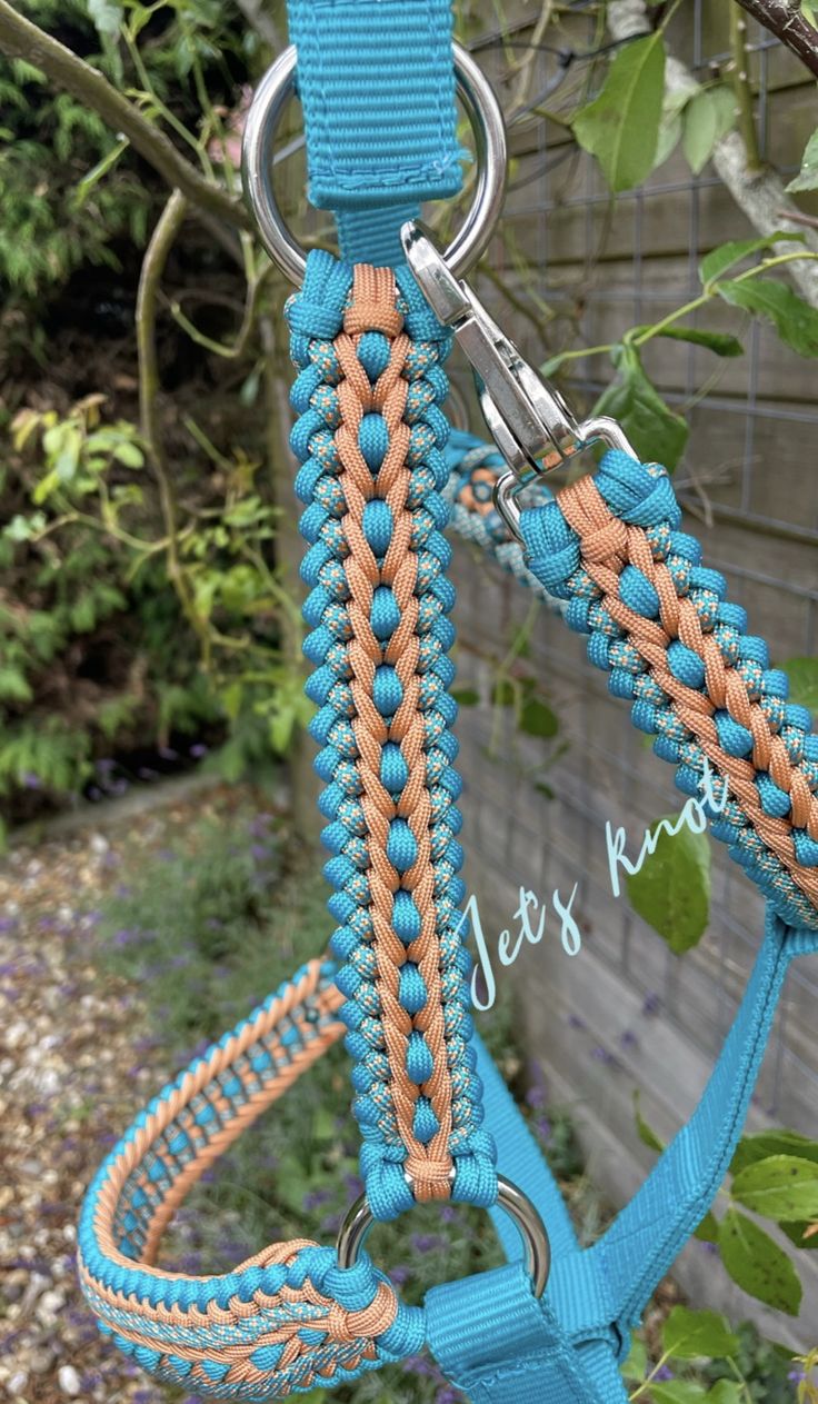 a blue and orange dog harness hanging from a tree