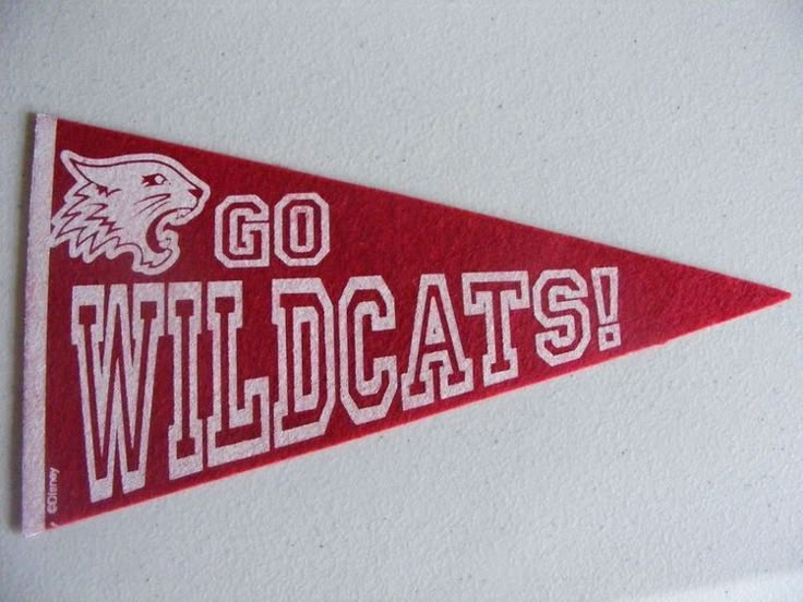 a pennant with the words go wildcats on it