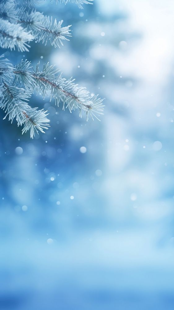 the branches of a pine tree are covered with snow and ice as it stands in front of a blue background