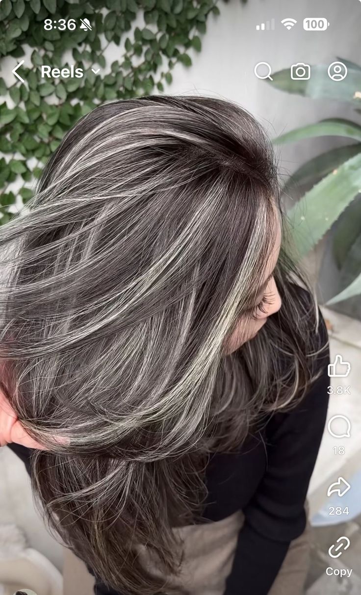 Cool Toned Blonde Hair Balayage Dark Brown, Long Hair Grey Highlights, Medium Brown Hair With Grey Highlights, Sliver Highlight Hair, Dark Brown Gray Hair, Silver Grey Highlights On Dark Hair, Razor Cut Hairstyles Long, Brunette Grey Blending Highlights, Grey Streaks In Brown Hair