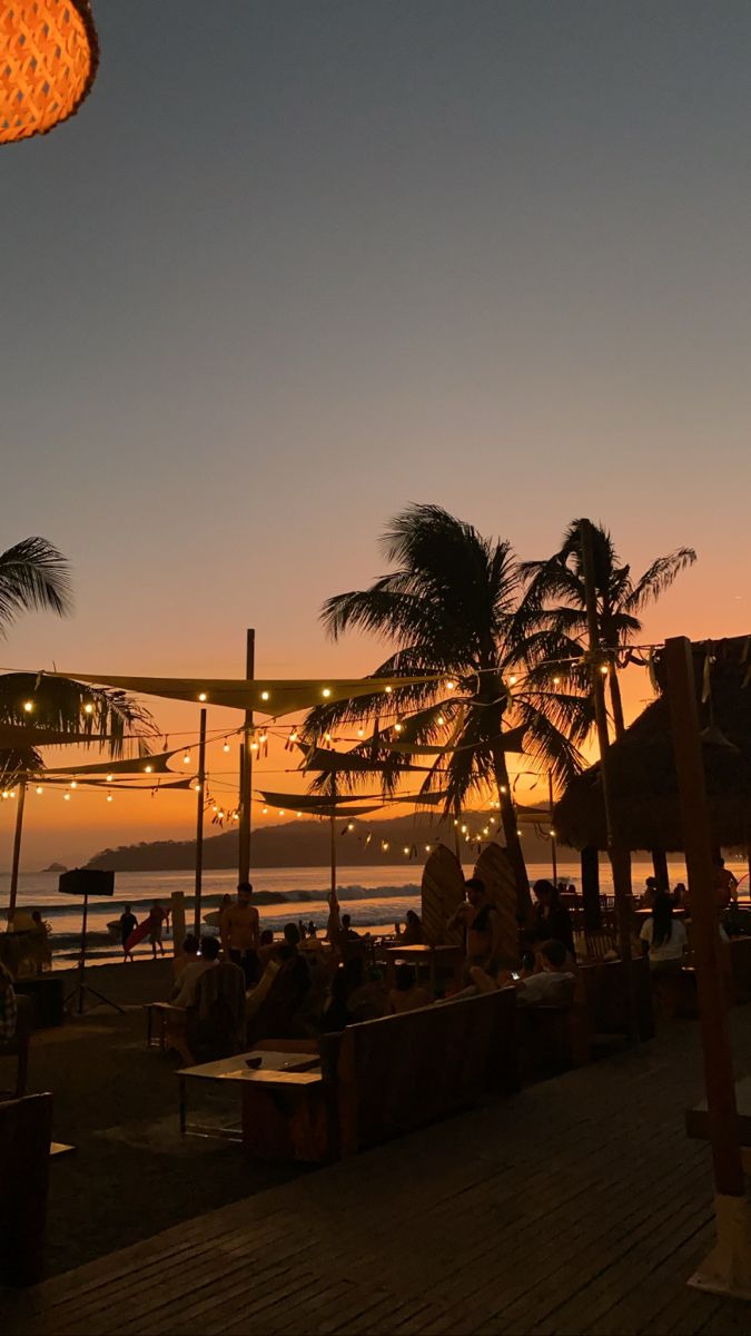 people are sitting on benches near the beach at sunset with palm trees and an airplane in the background