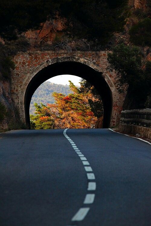 an empty road going into a tunnel with trees on both sides and mountains in the background