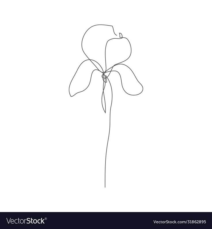 a single flower line drawing on a white background