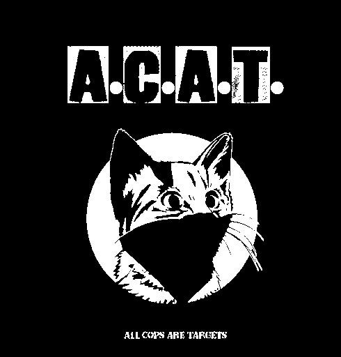 an image of a cat with the words acat on it's back ground