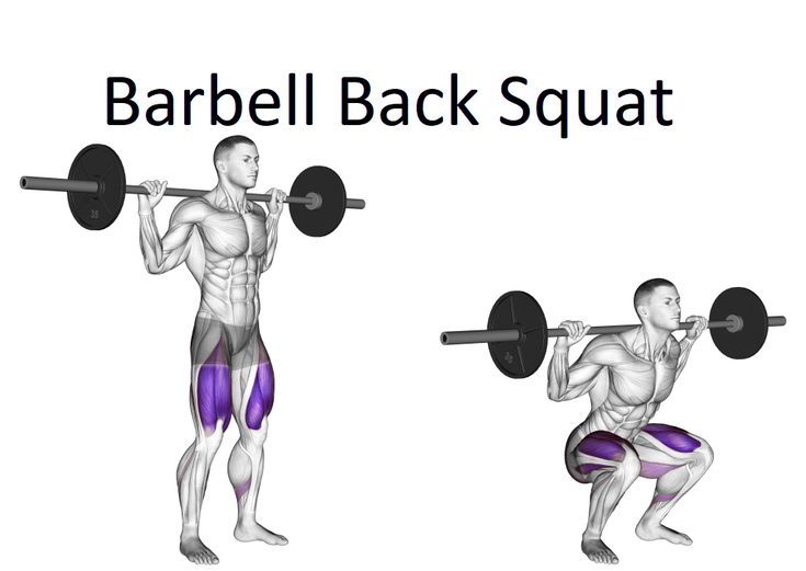 an image of a man doing barbell back squat