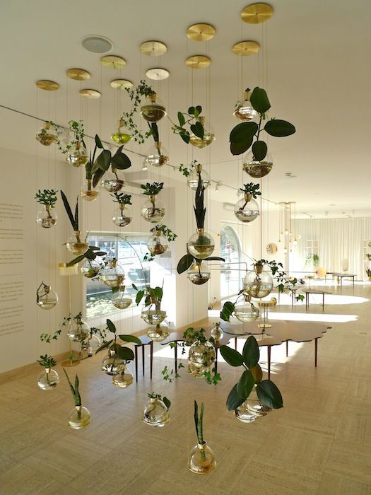 a room filled with lots of plants hanging from the ceiling and glass vases on the floor