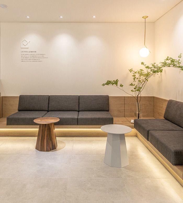 a living room filled with furniture and a potted plant