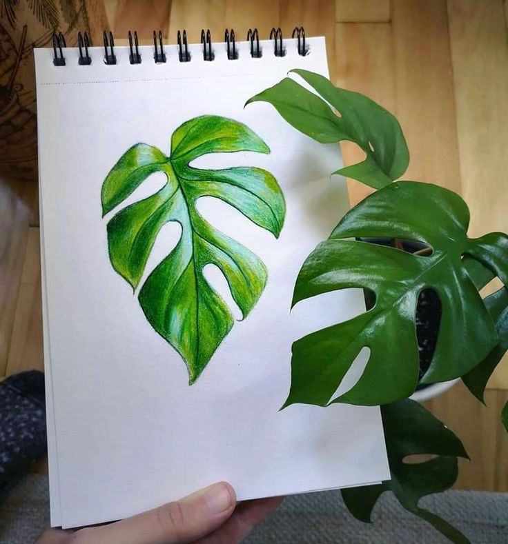 a drawing of a monster's leaf and a houseplant in the background