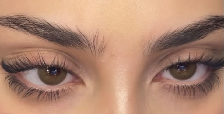 Beautiful Eye Aesthetic, Thick Brows Aesthetic, Messy Eyebrows Natural, Big Iris Eyes, Feline Eyes Natural, Upturned Eyes Aesthetic, Almond Eyes Lashes, Feline Doe Eyes, Types Of Eyelids