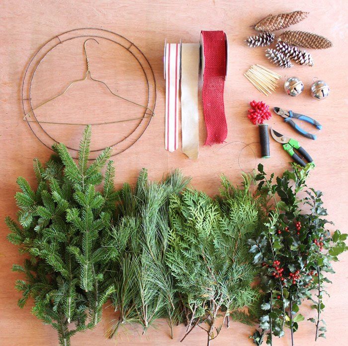 several different types of plants are arranged on a table with scissors and other items around them