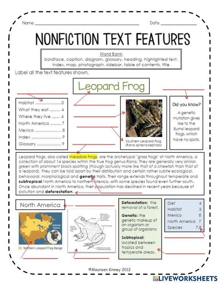 an information text feature for the lesson on how to read and understand what animals are