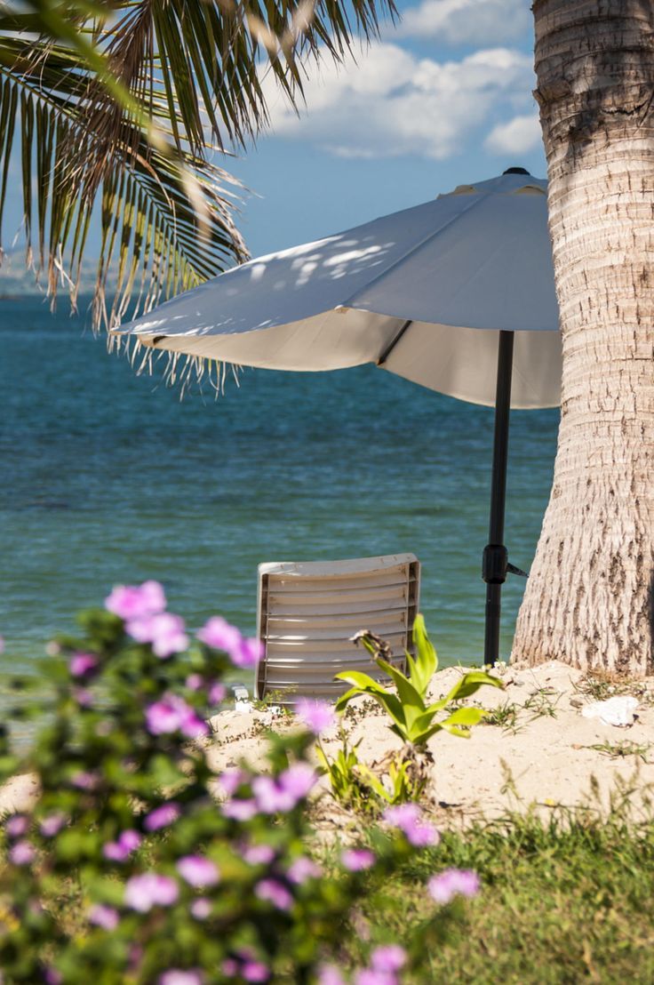 a chair under an umbrella next to the ocean with purple flowers on the ground and palm trees