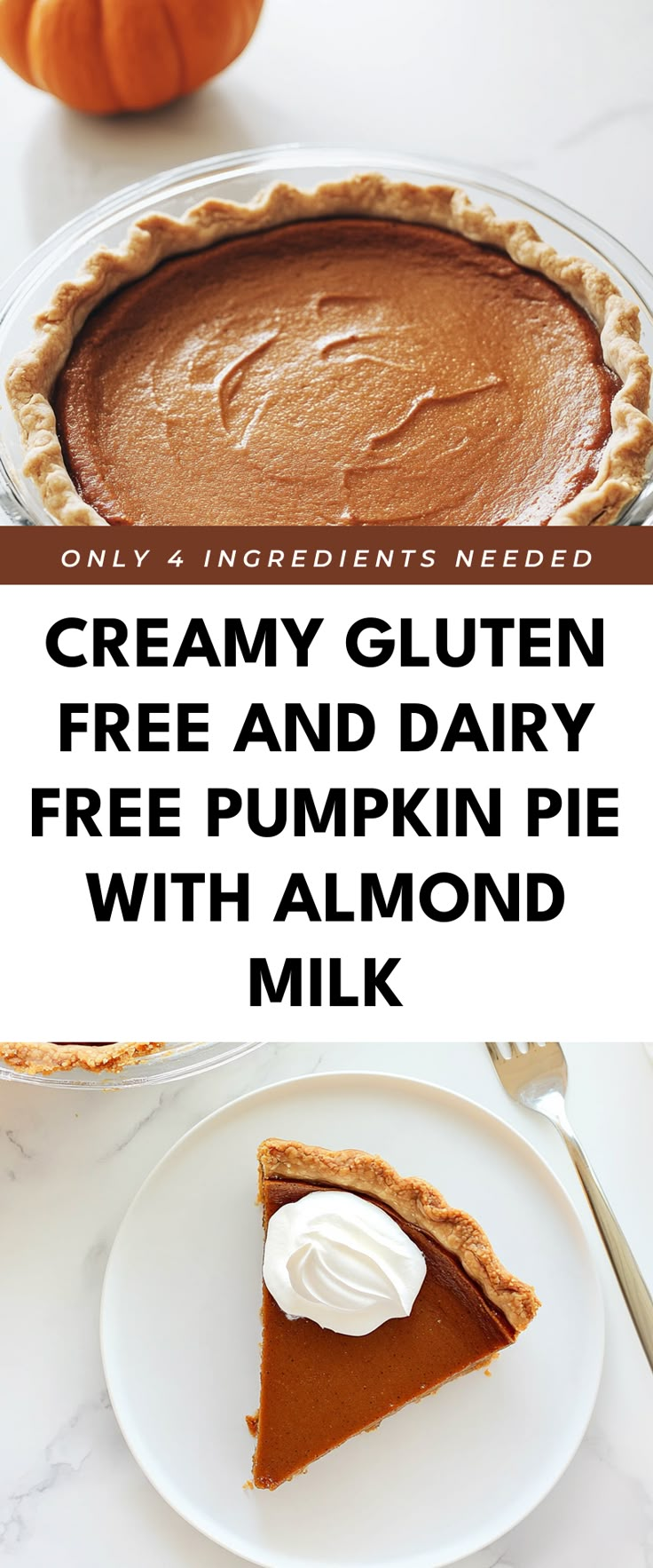 Image for Creamy Gluten Free and Dairy Free Pumpkin Pie with Almond Milk Dairy Free Pumpkin Pie Filling Recipe, Dairy And Gluten Free Thanksgiving, Pumpkin Pie Non Dairy, Dairy Free Gluten Free Pumpkin Pie, Dairy And Gluten Free Pumpkin Pie, Almond Milk Pumpkin Pie, Pumpkin Pie With Almond Milk, Organic Gluten Free Desserts, Gluten Free Dairy Free Egg Free Thanksgiving Recipes