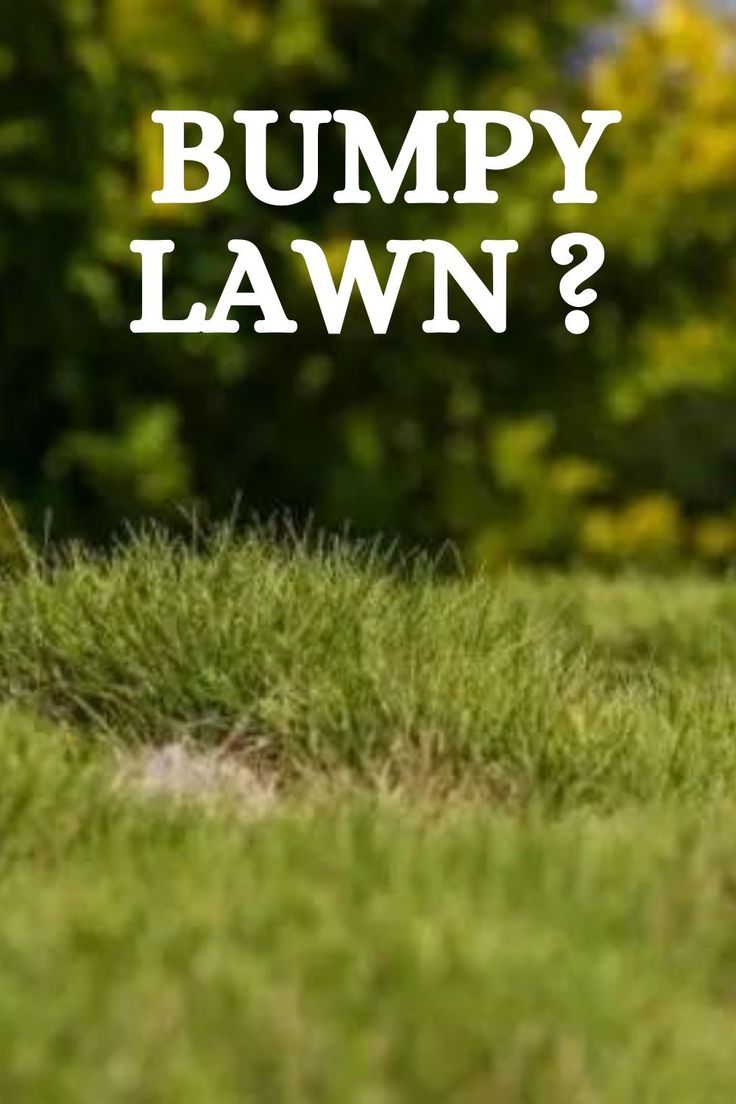 a lawn mower sitting on top of a lush green grass covered field with the words bumpy lawn?