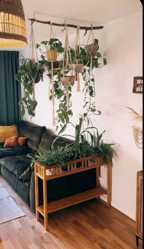 a living room with plants hanging from the ceiling