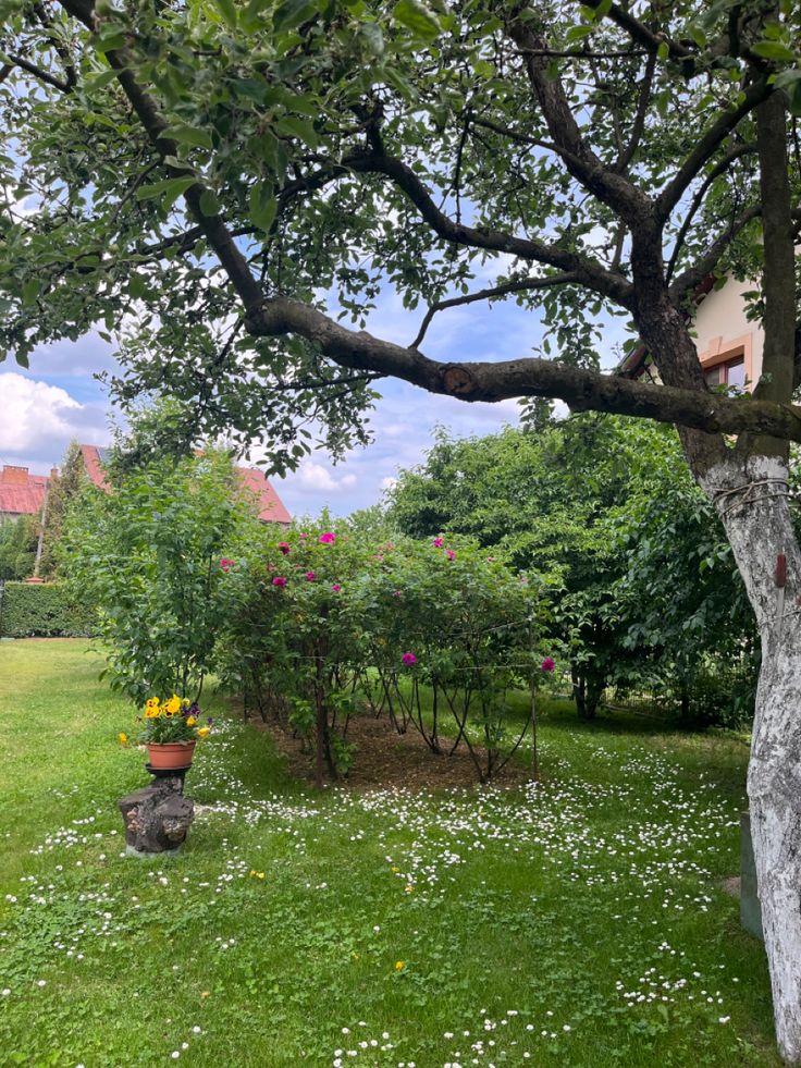 an outdoor area with grass, flowers and trees