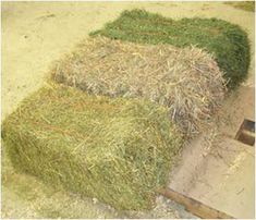 hay bales stacked on top of each other in a room with wooden pallets