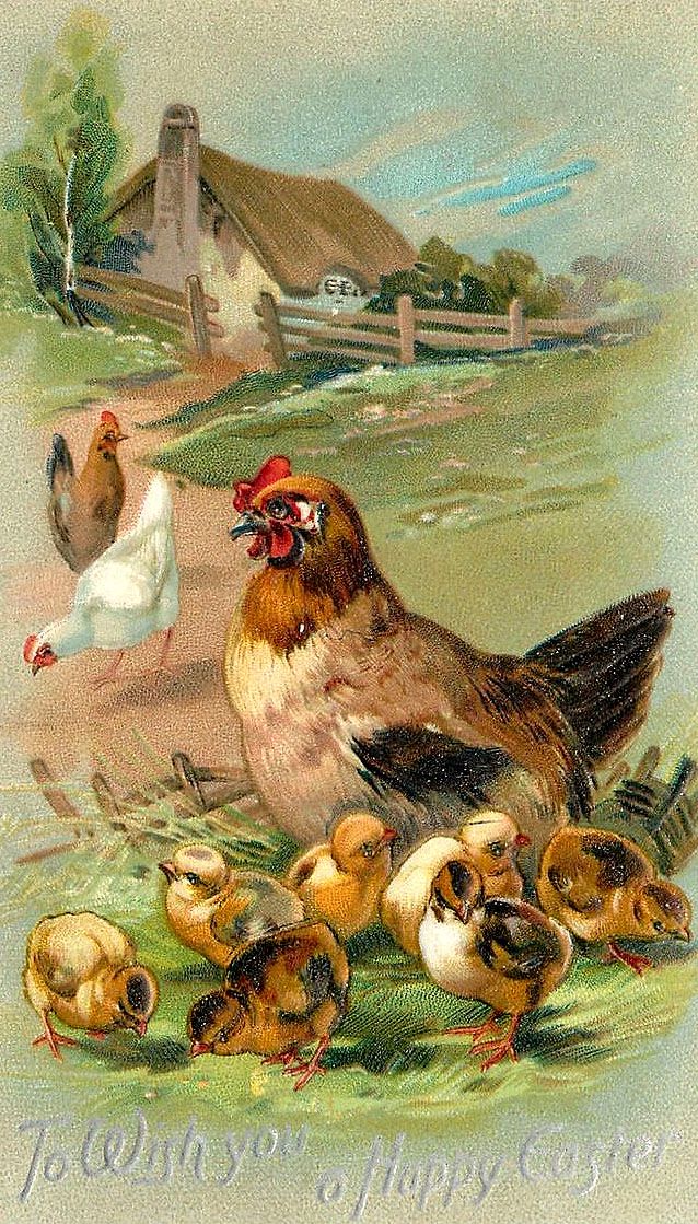 an old postcard with chickens and ducks