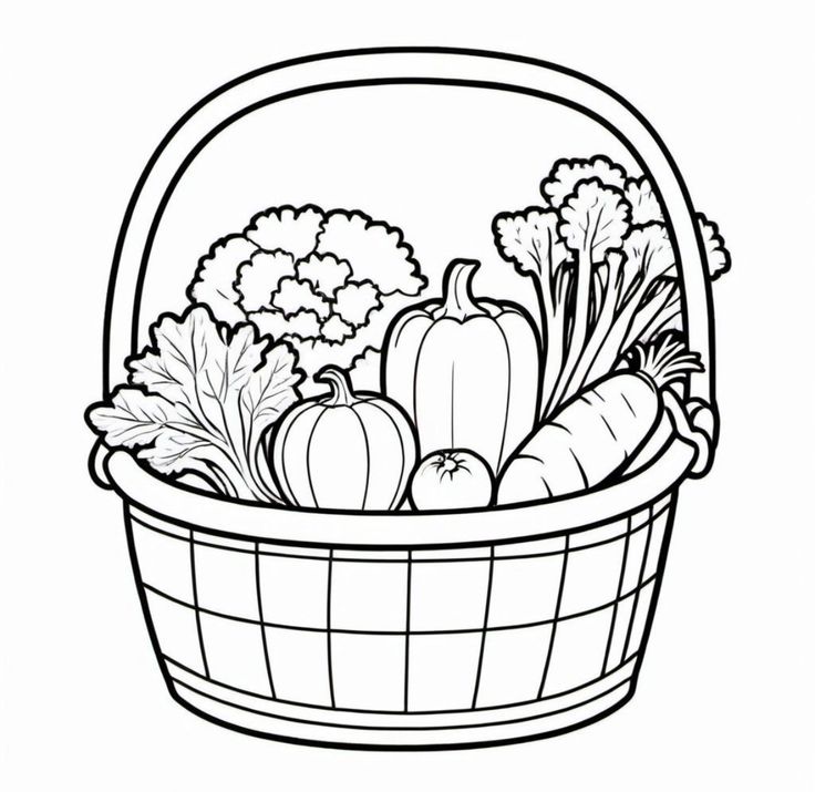 Vegetable Basket Drawing, Vegetables Drawing For Kids, Bee Numbers, Vegetables Coloring Pages, Science Plants, Vegetable Drawing, Vegetable Coloring Pages, Fruit Crafts, Room Activities