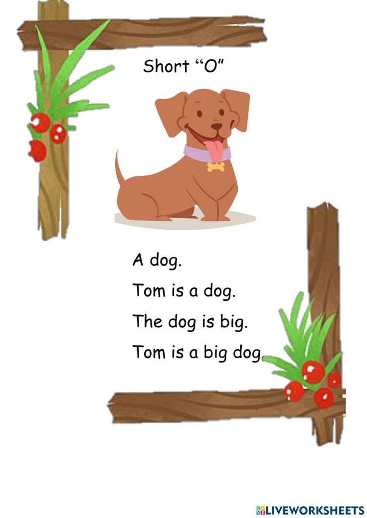 a dog is sitting in front of a wooden frame with the words short o '