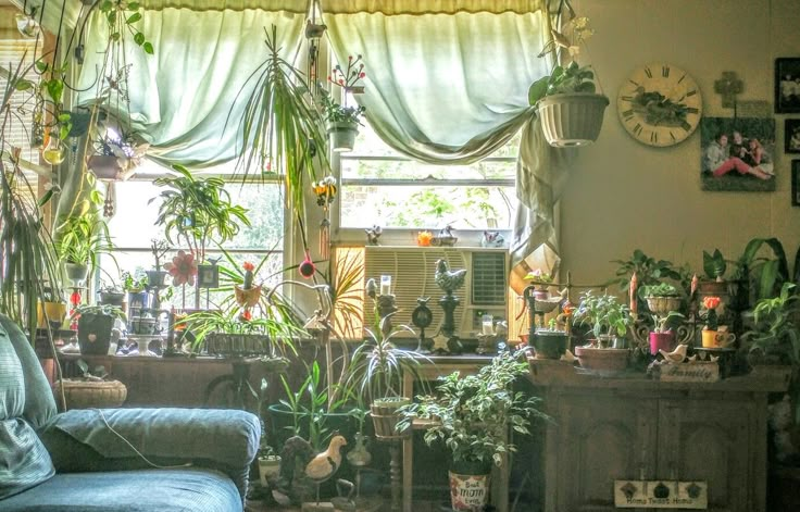 a living room filled with lots of potted plants next to a window covered in curtains