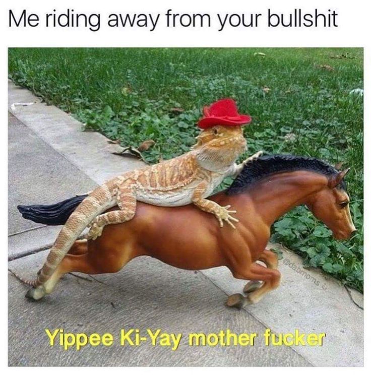 a lizard riding on the back of a brown horse with a red hat and tail