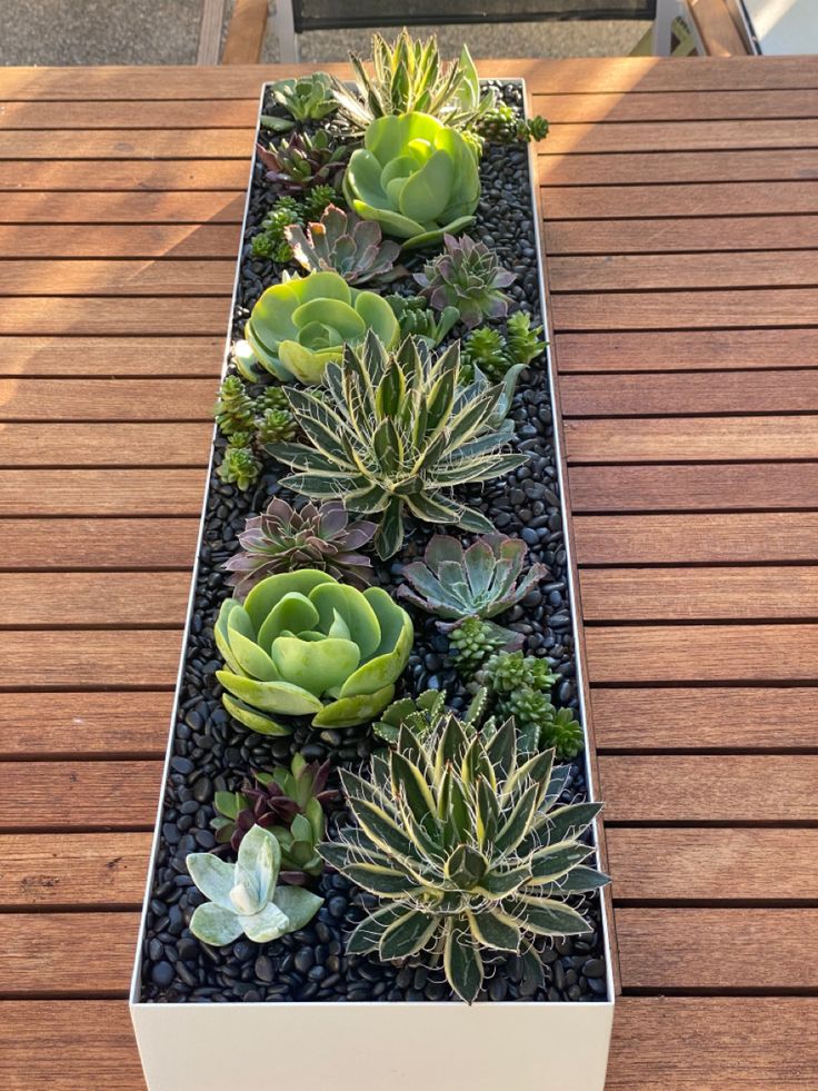 a long white planter filled with succulents on top of a wooden table