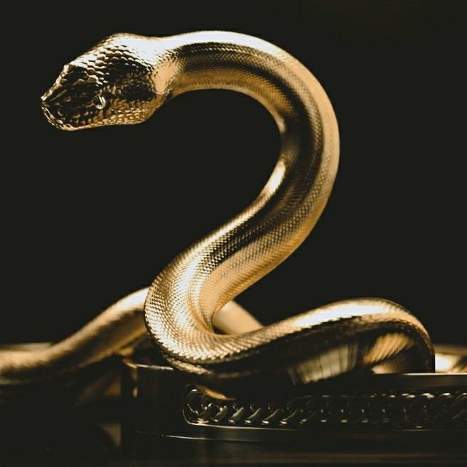 a golden snake is sitting on top of a table