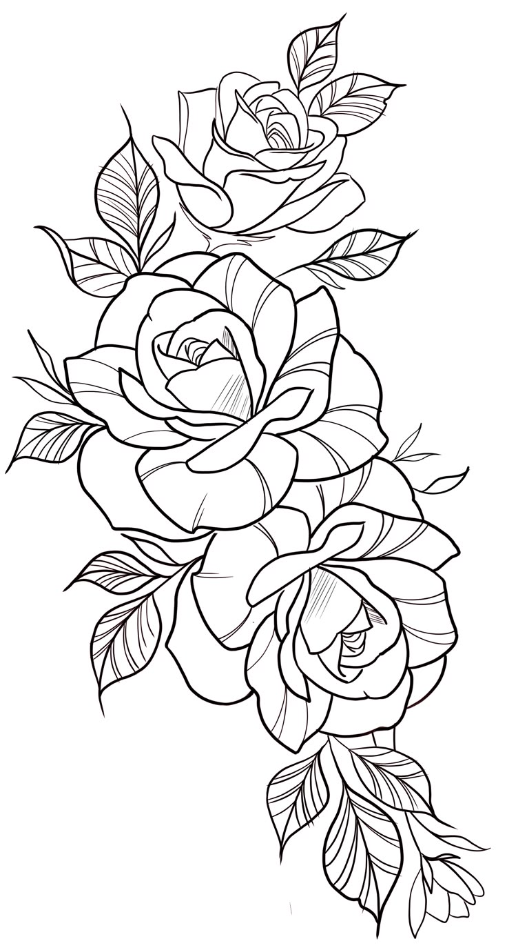 a drawing of a rose with leaves on it