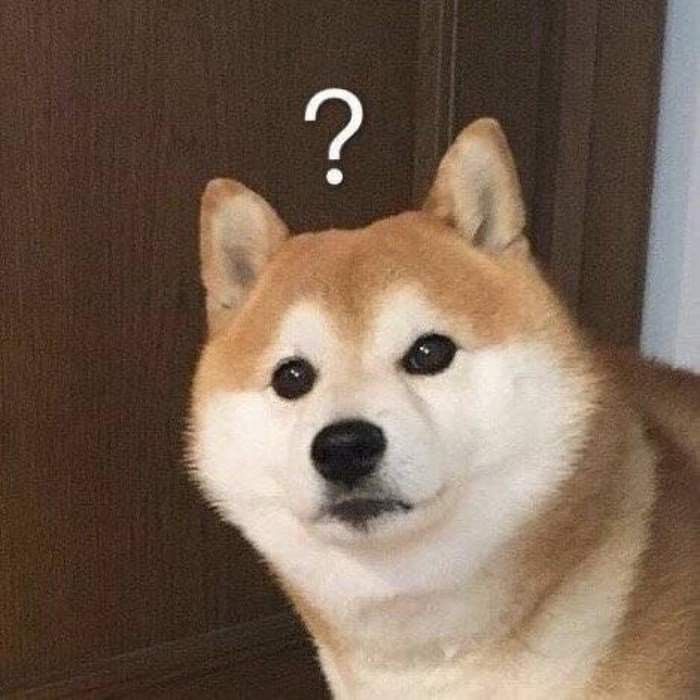 Shiba Inu, Reaction Pics, 귀여운 동물, Funny Animals, Cute Dogs, Cute Animals, Puppies, Humor, My Saves