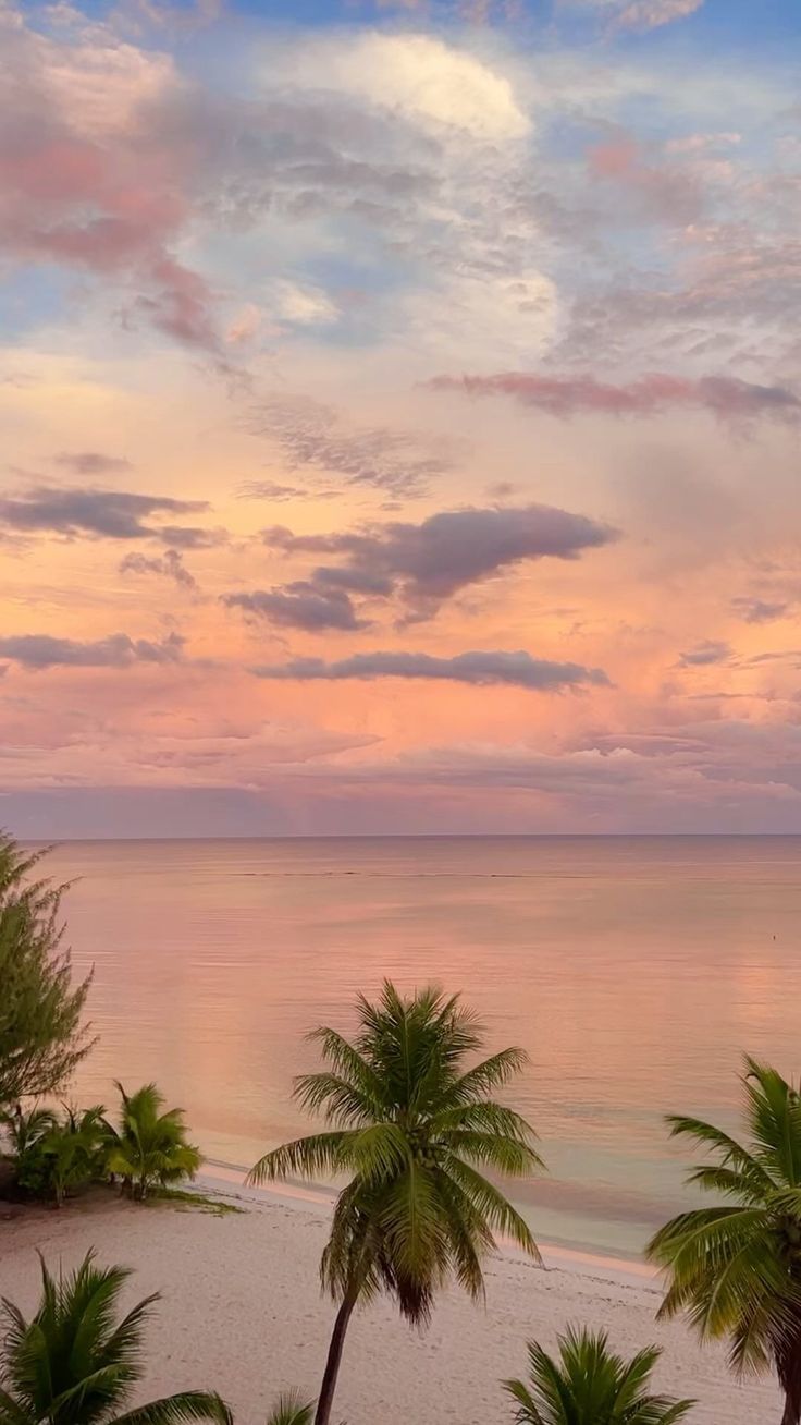 palm trees line the beach as the sun sets in the distance with pink clouds and blue sky