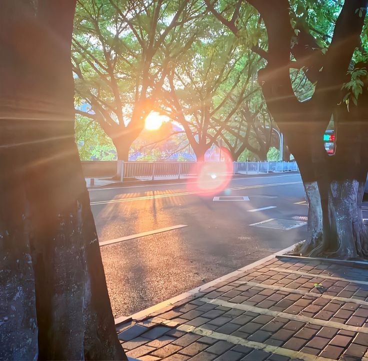 the sun shines brightly through trees on an empty street