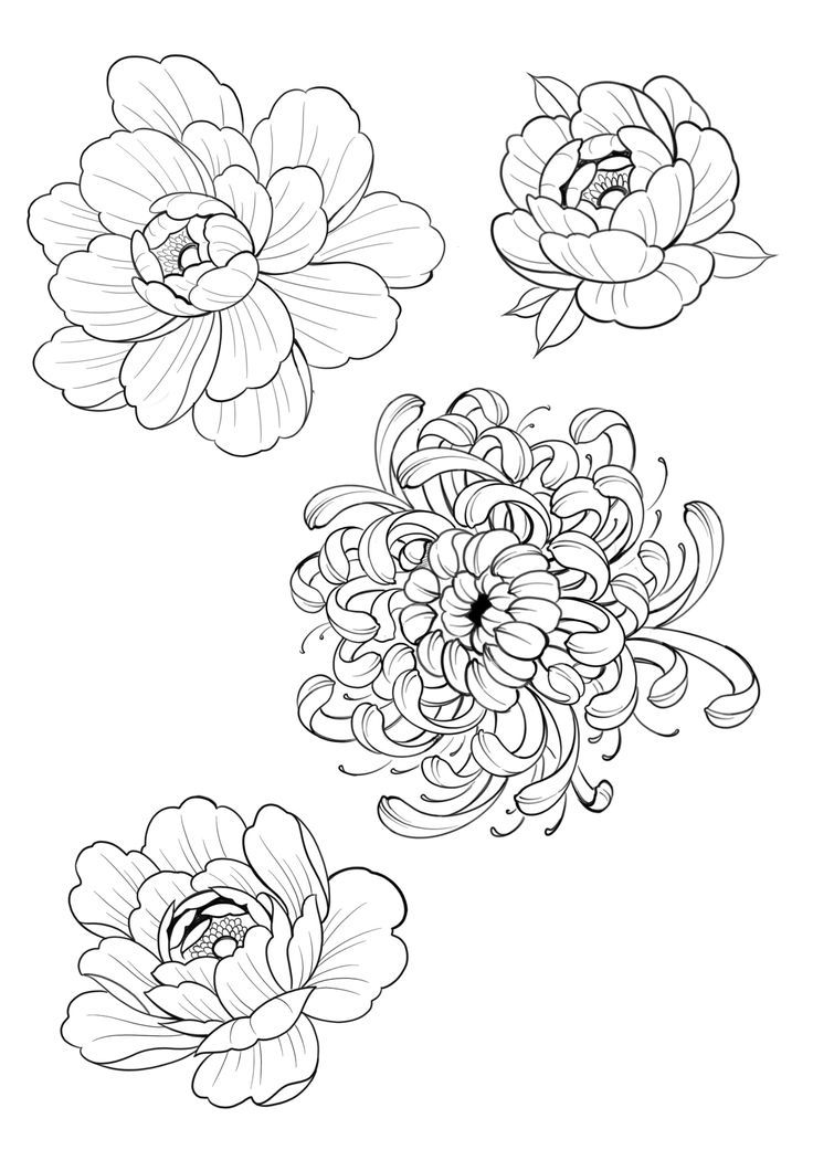 three flowers are shown in black and white