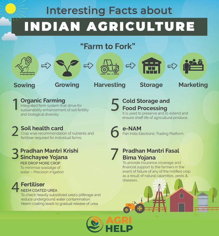 In this infographic, we have discussed some interesting facts about Indian Agriculture Agriculture Facts, Indian Agriculture, Agriculture In India, Technology In Agriculture, Smart Farming, Harvest Storage, Agricultural Engineering, Smart Farm, Engineering Resume