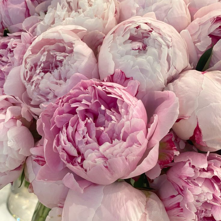 a bouquet of pink peonies in a glass vase on a white tablecloth