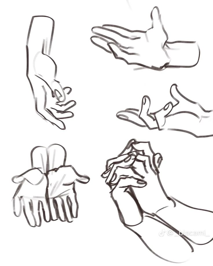 several different hands are shown in this drawing