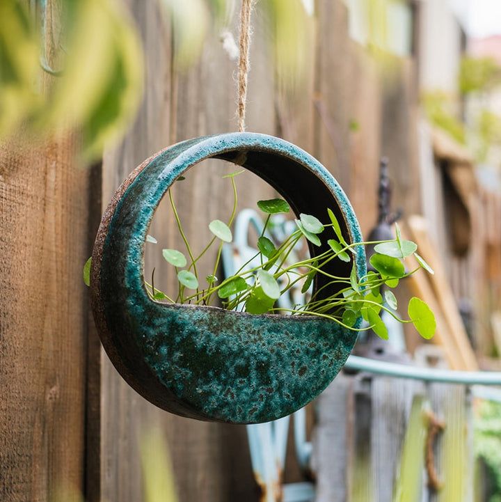 a hanging planter filled with plants on a wooden fence