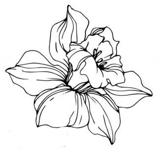 a black and white drawing of a flower