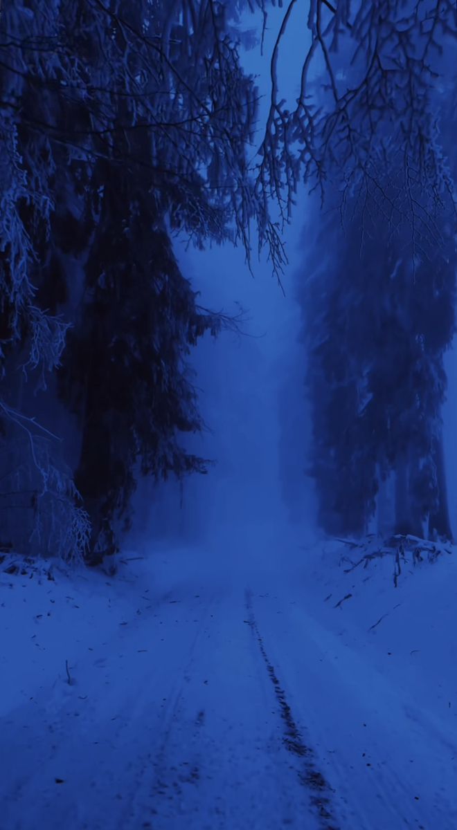 the road is covered in snow and trees