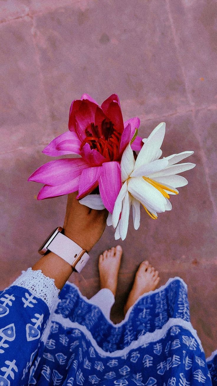 lotus flowers at Indian temple