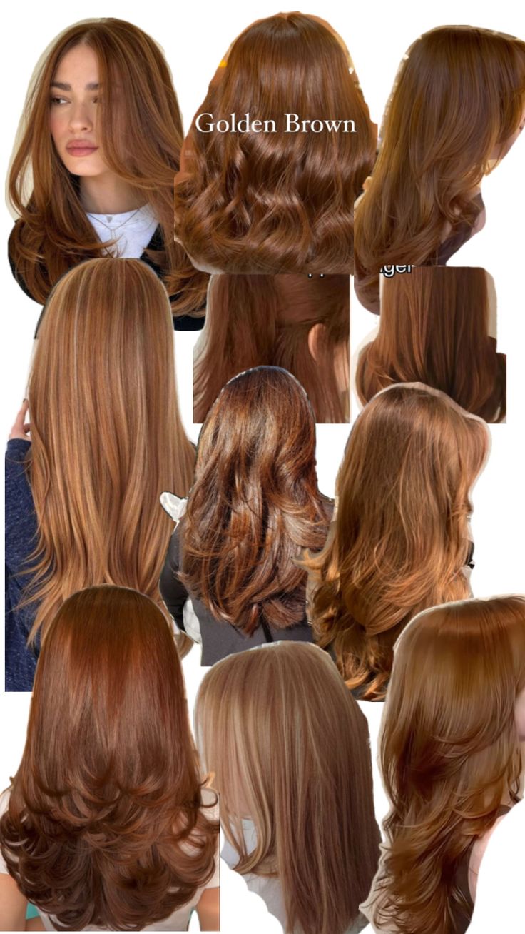 True Brown Hair Color, Hair Dye Colors For Tan Skin, Honey Brown Hair With Bangs, Medium Contrast Hair Color, Golden Chestnut Hair, Light Brown Hair Tan Skin, Autumn Color Palette Hair, Cooper Brown Hair Colour, Color De Cabello Para Blancas