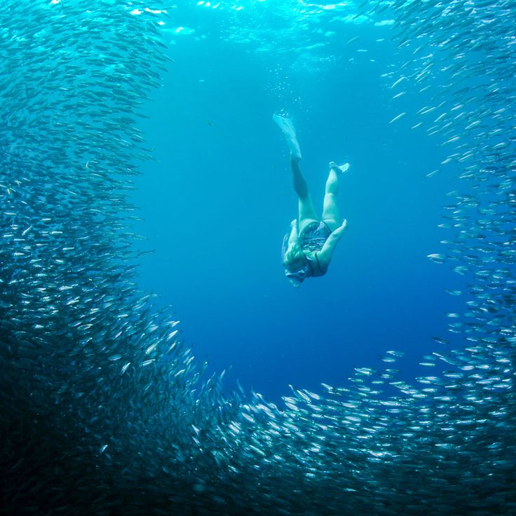 a man swimming in the ocean surrounded by fish